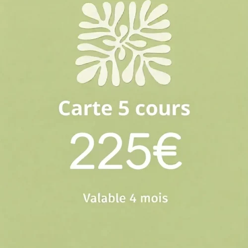 Cours particuliers tournage - Carte de 5 cours
